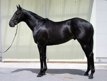 ����å��ǳ��������ɽ�����ޤ�