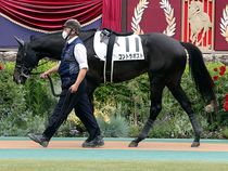 ����å��ǳ��������ɽ�����ޤ�