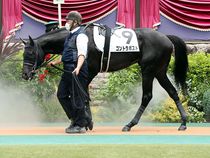 ����å��ǳ��������ɽ�����ޤ�