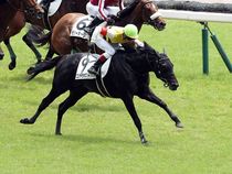 ����å��ǳ��������ɽ�����ޤ�