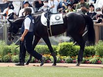 ����å��ǳ��������ɽ�����ޤ�