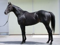 ����å��ǳ��������ɽ�����ޤ�