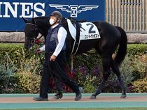 ����å��ǳ��������ɽ�����ޤ�