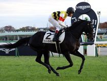 ����å��ǳ��������ɽ�����ޤ�