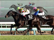 ����å��ǳ��������ɽ�����ޤ�