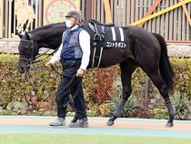 ����å��ǳ��������ɽ�����ޤ�