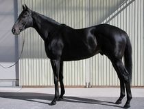 ����å��ǳ��������ɽ�����ޤ�