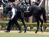 ����å��ǳ��������ɽ�����ޤ�