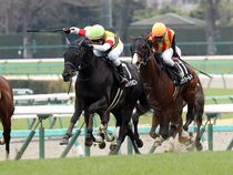 ����å��ǳ��������ɽ�����ޤ�