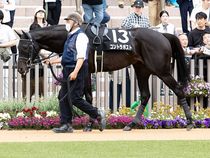 ����å��ǳ��������ɽ�����ޤ�