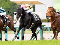 ����å��ǳ��������ɽ�����ޤ�