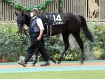 ����å��ǳ��������ɽ�����ޤ�