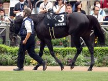 ����å��ǳ��������ɽ�����ޤ�