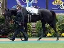 ����å��ǳ��������ɽ�����ޤ�