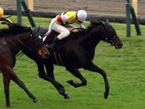 ����å��ǳ��������ɽ�����ޤ�