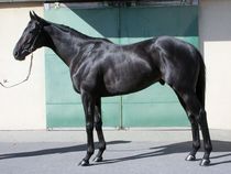 ����å��ǳ��������ɽ�����ޤ�