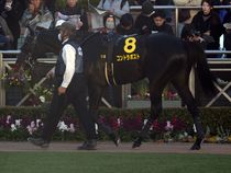 ����å��ǳ��������ɽ�����ޤ�