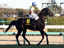 ����å��ǳ��������ɽ�����ޤ�