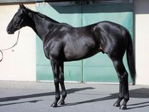 ����å��ǳ��������ɽ�����ޤ�