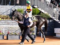 ����å��ǳ��������ɽ�����ޤ�