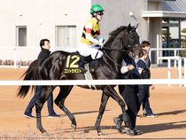 ����å��ǳ��������ɽ�����ޤ�