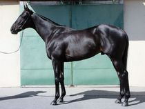 ����å��ǳ��������ɽ�����ޤ�