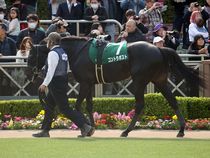 ����å��ǳ��������ɽ�����ޤ�