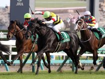 ����å��ǳ��������ɽ�����ޤ�