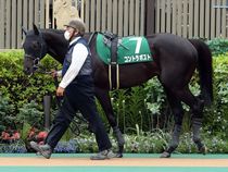 ����å��ǳ��������ɽ�����ޤ�