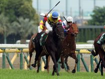 ����å��ǳ��������ɽ�����ޤ�