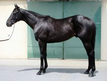 ����å��ǳ��������ɽ�����ޤ�