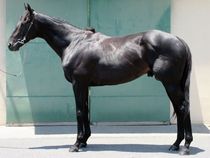 ����å��ǳ��������ɽ�����ޤ�