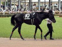 ����å��ǳ��������ɽ�����ޤ�