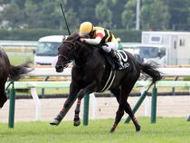 ����å��ǳ��������ɽ�����ޤ�