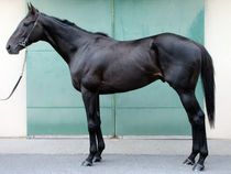 ����å��ǳ��������ɽ�����ޤ�