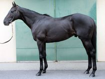 ����å��ǳ��������ɽ�����ޤ�