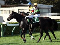 ����å��ǳ��������ɽ�����ޤ�