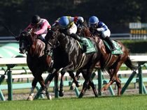 ����å��ǳ��������ɽ�����ޤ�