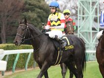 ����å��ǳ��������ɽ�����ޤ�