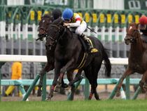 ����å��ǳ��������ɽ�����ޤ�