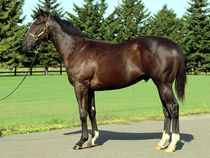 ����å��ǳ��������ɽ�����ޤ�