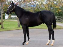 ����å��ǳ��������ɽ�����ޤ�