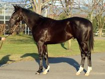 ����å��ǳ��������ɽ�����ޤ�