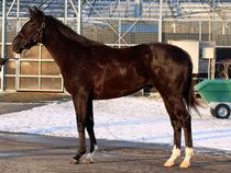 ����å��ǳ��������ɽ�����ޤ�