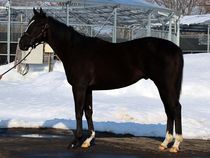 ����å��ǳ��������ɽ�����ޤ�