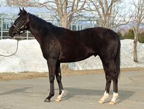 ����å��ǳ��������ɽ�����ޤ�