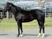 ����å��ǳ��������ɽ�����ޤ�