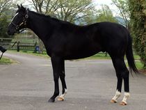 ����å��ǳ��������ɽ�����ޤ�