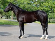 ����å��ǳ��������ɽ�����ޤ�