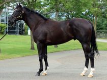 ����å��ǳ��������ɽ�����ޤ�